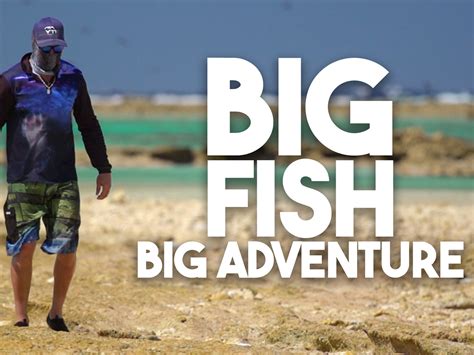 megashare big fish|Prime Video: Big Fish.